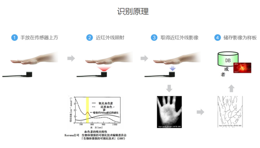 静脉识别技术原理和厂商汇总